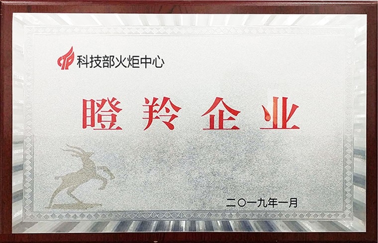 瞪羚企业