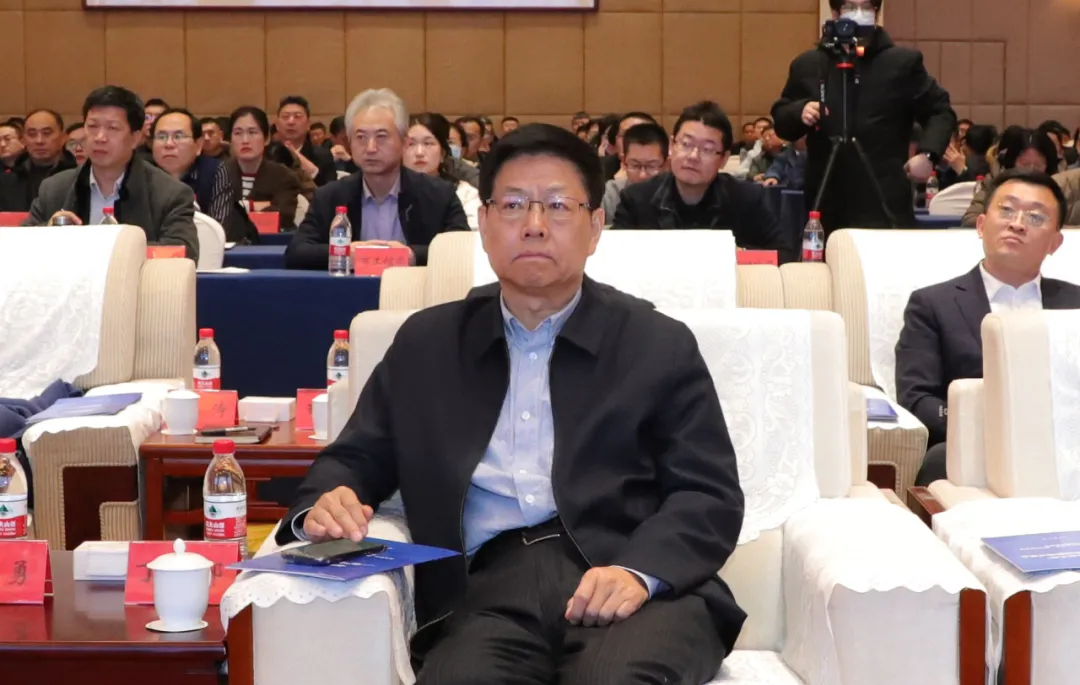图片8