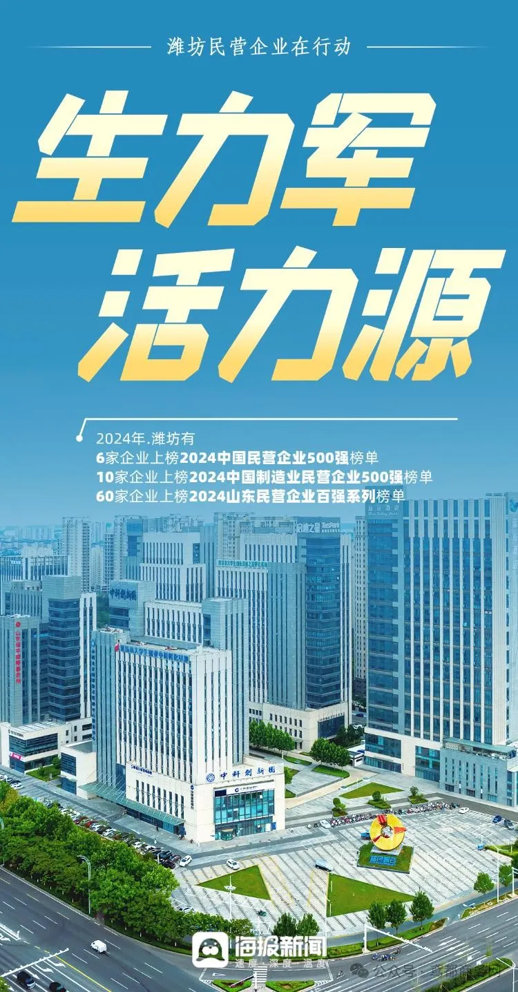 图片6